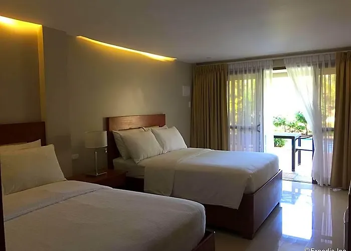 Alona Golden Palm