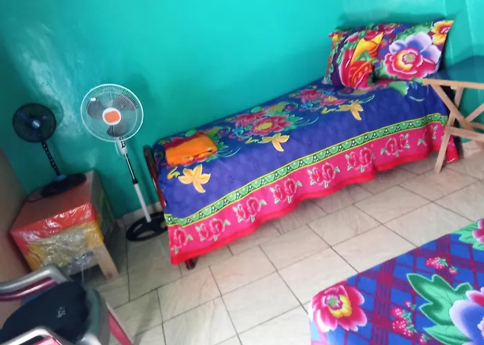 Private Rooms, Dayly Tours , Rental Scooter
