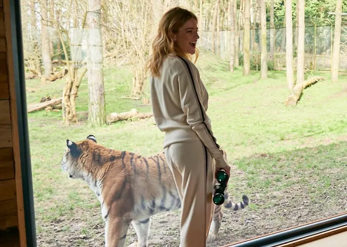 Tiger Lodge - At Port Lympne Hotel & Reserve