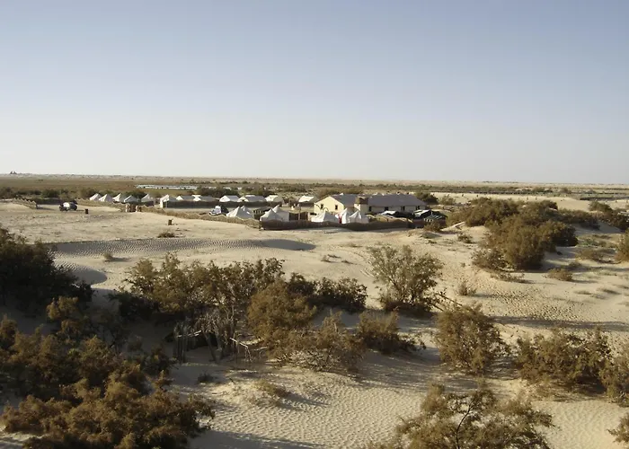 Campement Sahara Oasis Douz
