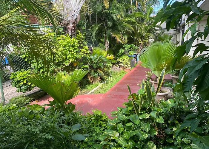 Hotel Oasis Beach Club