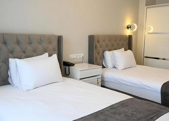 Zelif Otel Havza