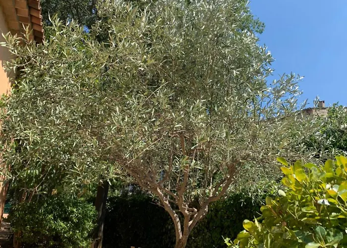Le Clos du Thoronet