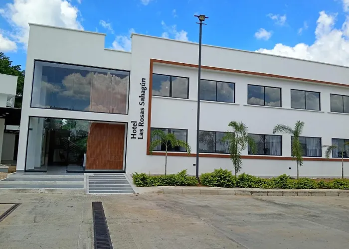 Hotel Las Rosas Sahagún
