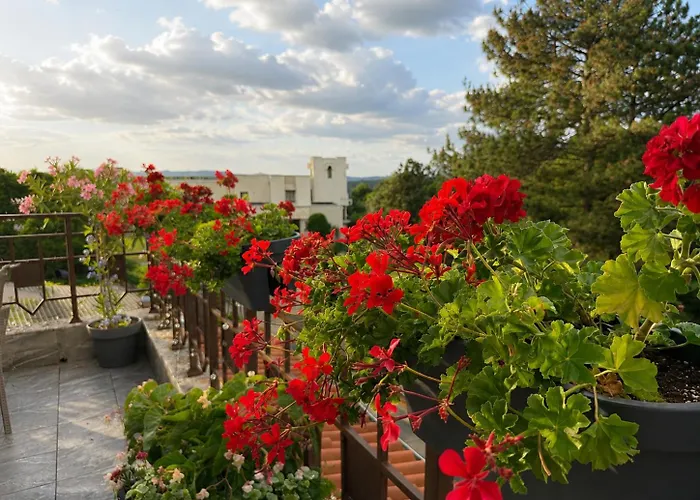 Park Hotel Arbanassi