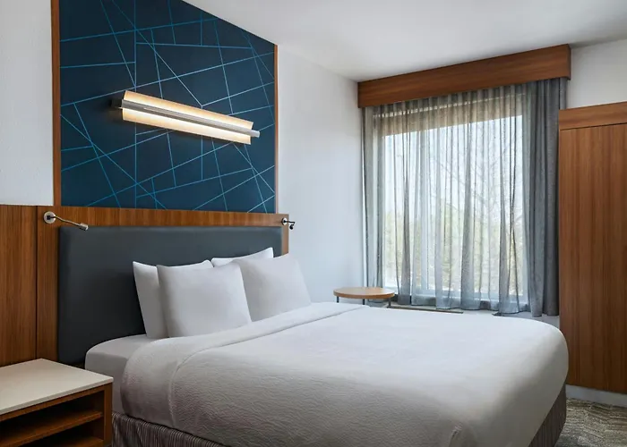 Springhill Suites By Marriott Dallas Richardson/Plano