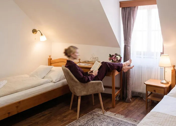 Hotel Salamander - Garni