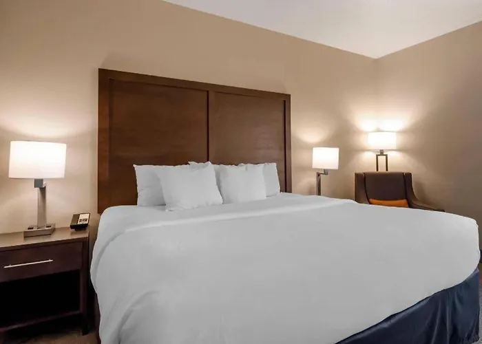 Comfort Inn & Suites Macon