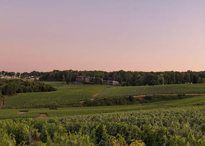 LOISIUM Wine&Spa Hotel Champagne