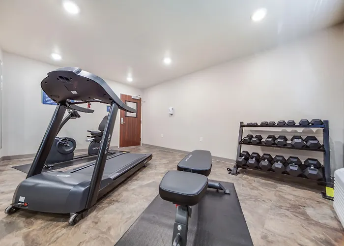 Cobblestone Inn & Suites-Fremont