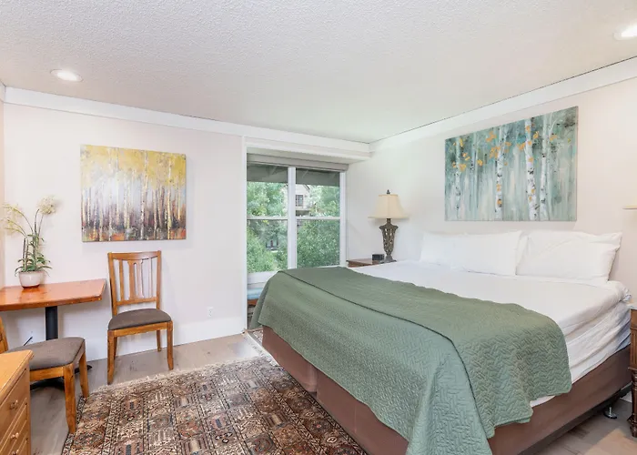 Mountainside Inn 221 By Alpine Lodging Telluride