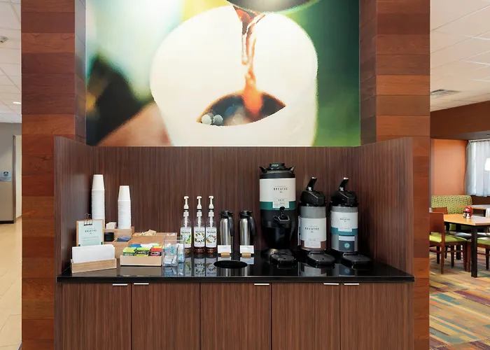 Fairfield Inn & Suites By Marriott Buffalo Amherst/University