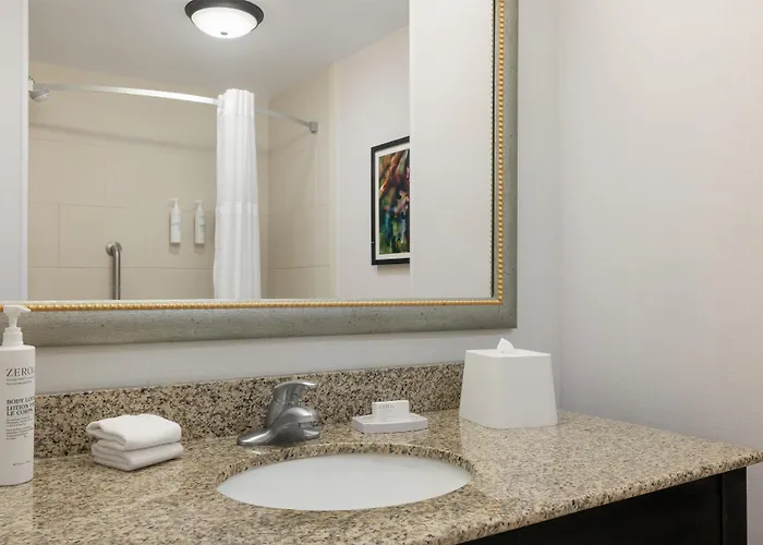 Hampton Inn & Suites Baton Rouge Downtown