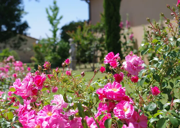 Hôtel La Bastide d'Iris