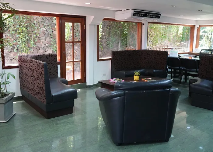 Hotel Casa del Arbol