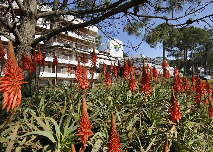 Hotel del Lago Golf&Art Resort