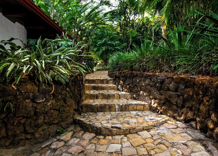 Finca Rosa Blanca Coffee Farm And Inn
