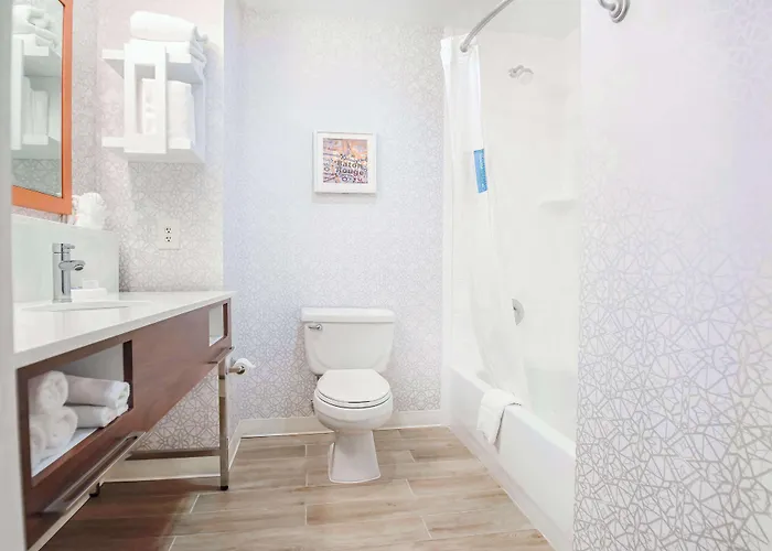 Hampton Inn Baton Rouge - Denham Springs