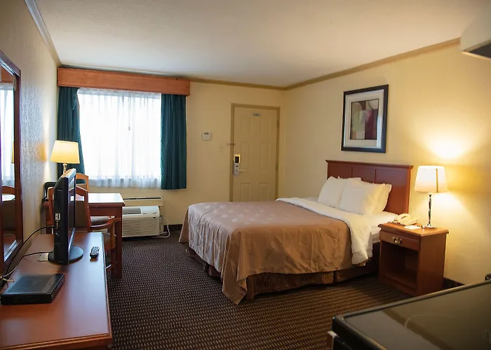 All Stay Suites