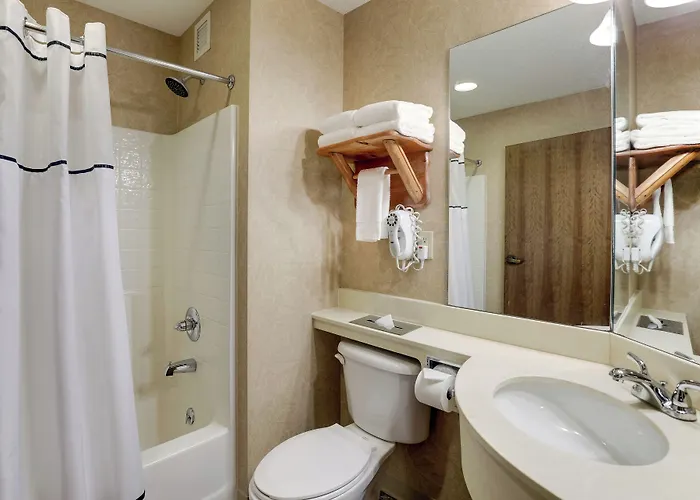 Stoney Creek Hotel St. Joseph