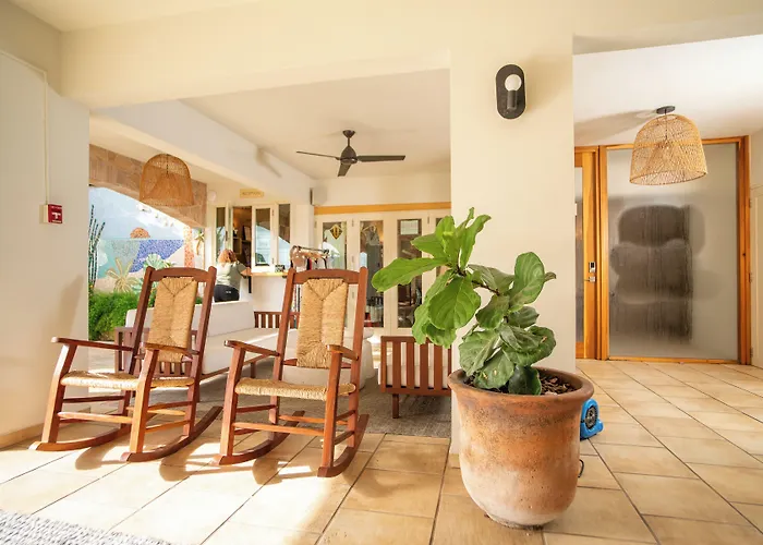 Lazy Parrot Inn
