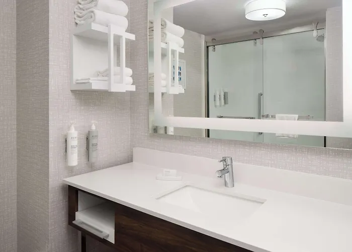 Hampton Inn Roanoke/Hollins - I-81