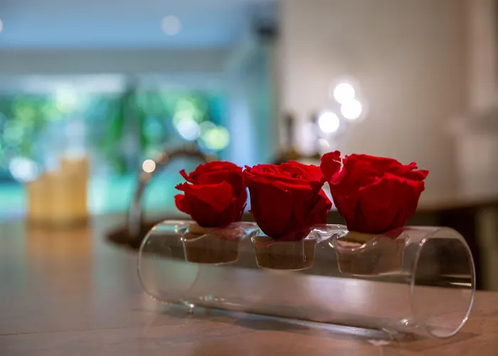 Hôtel Les Trois Roses, Meylan Grenoble The Originals Boutique