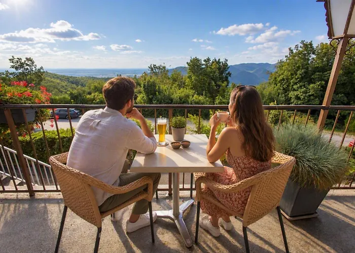 Alexain Hotel Restaurant&Wellness - Colmar Ouest