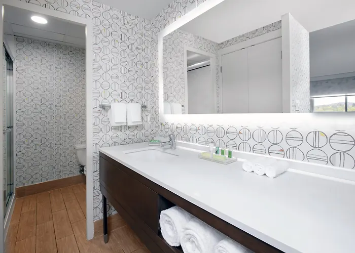 Holiday Inn Binghamton Downtown By Ihg