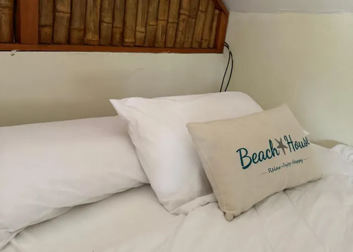 La Casa de Pucha Surf History&Tropical Stay