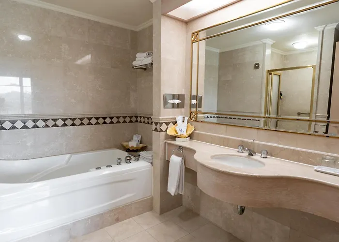 Palasia Hotel