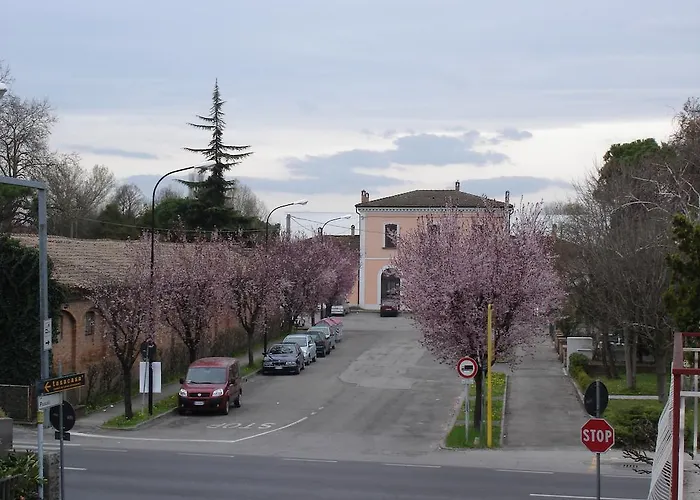 Al Flor