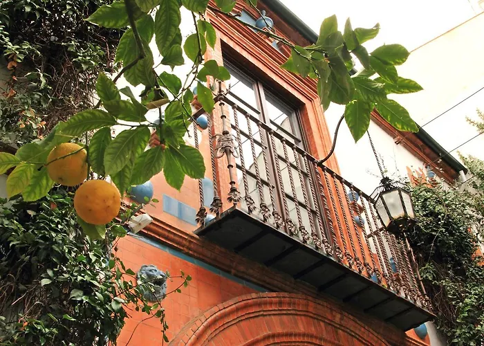 Hotel Patria Chica