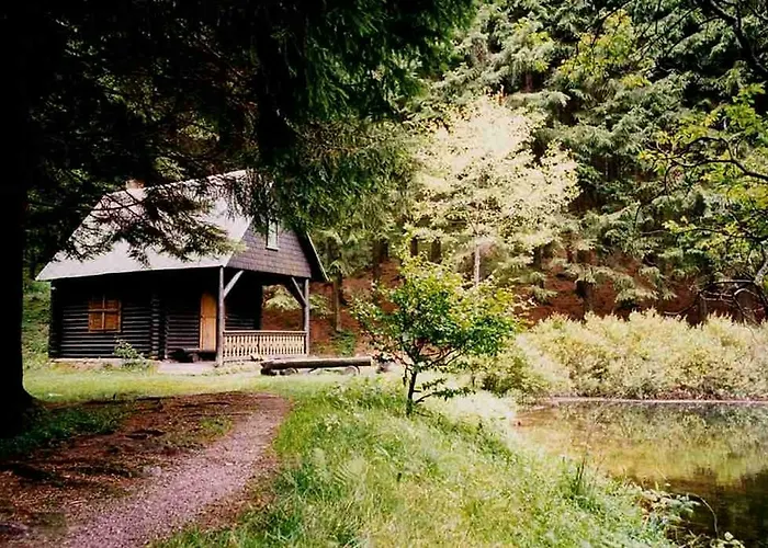 Hotel Gasthof zum Walfisch Klingenthal