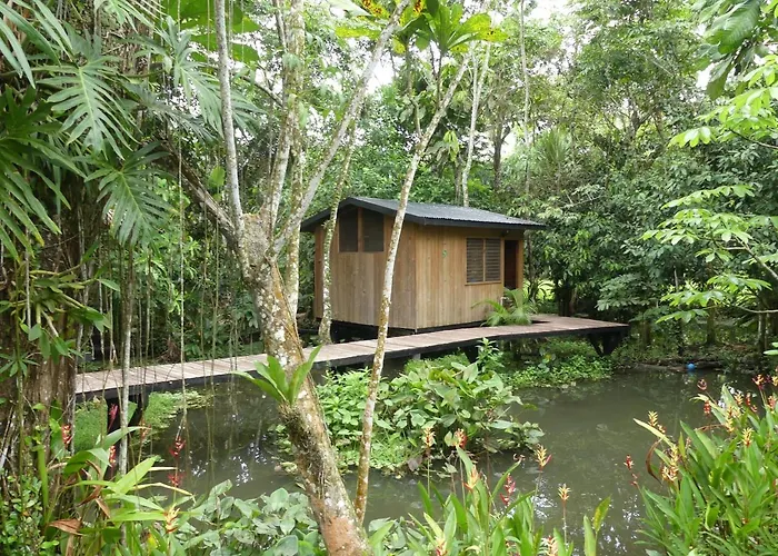 Hotel Kangaroo Y Restaurante
