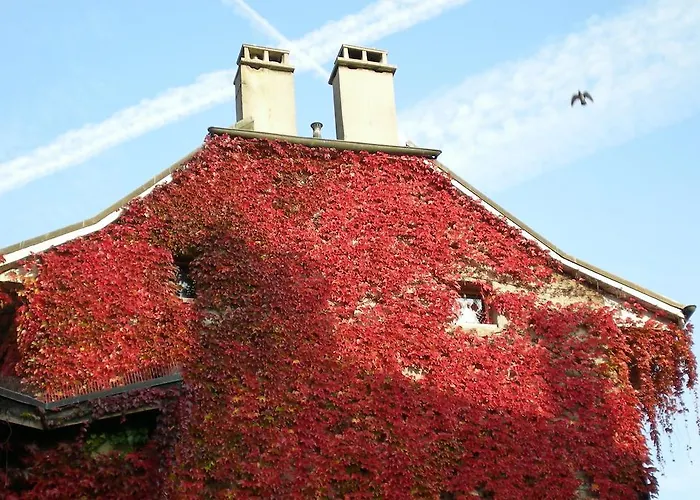 Le Bourg 7