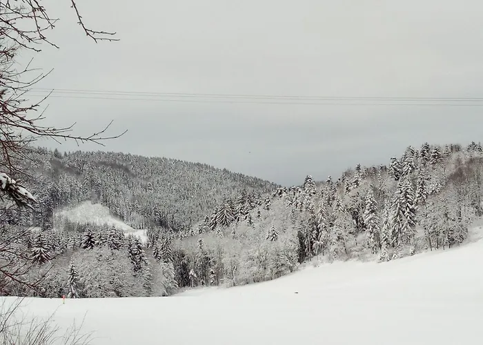 Gasthof-Hotel Dilger