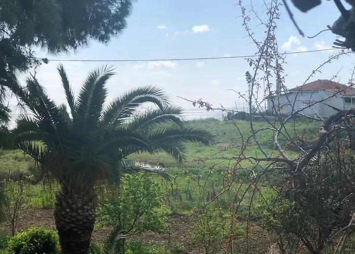 Pavlos studios