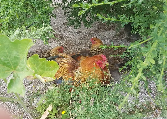 Baestekille Gardshotell