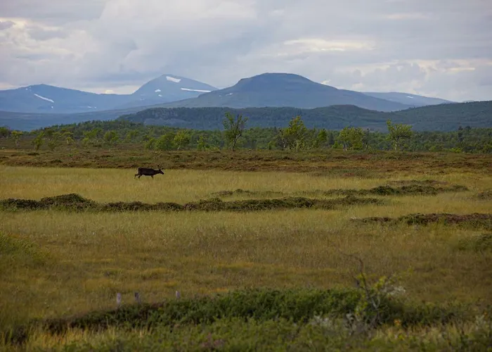 Skarvruets Hoegfjaellshotell