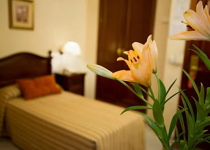 Hotel Gran Avenida