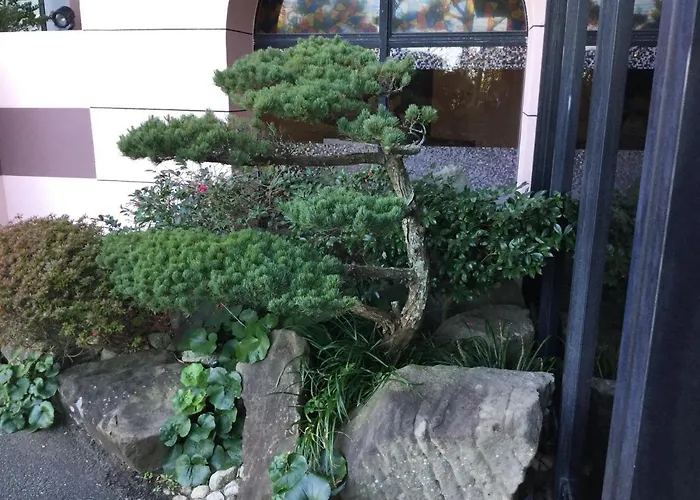 Hotel Saiyo Wakigawa